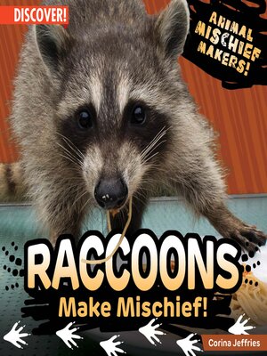 cover image of Raccoons Make Mischief!